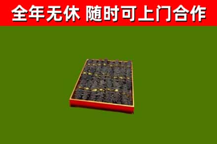 曲靖回收海参